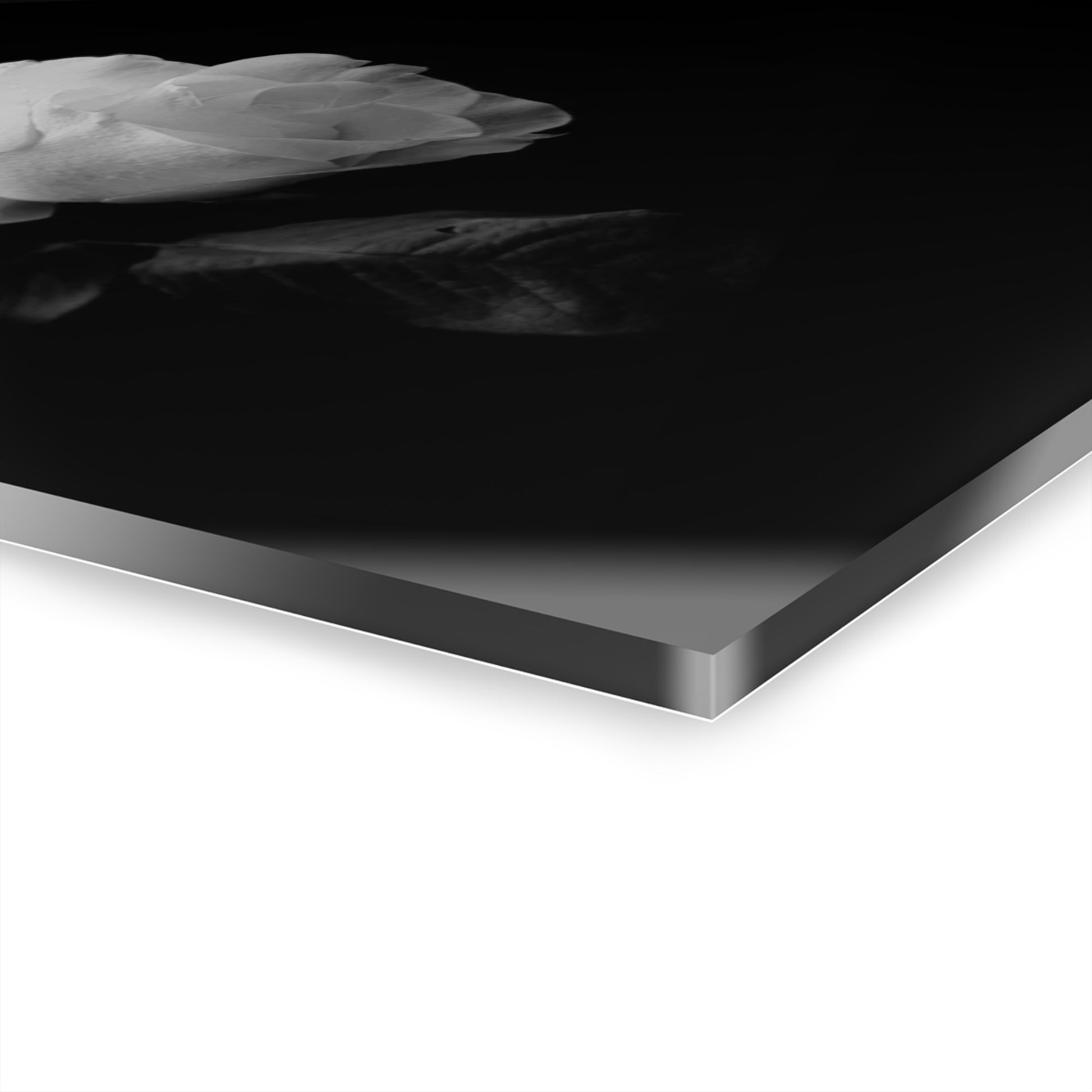 Black & White Rose Acrylic Print — Minimal Floral Wall Art (French Cleat Hanging)