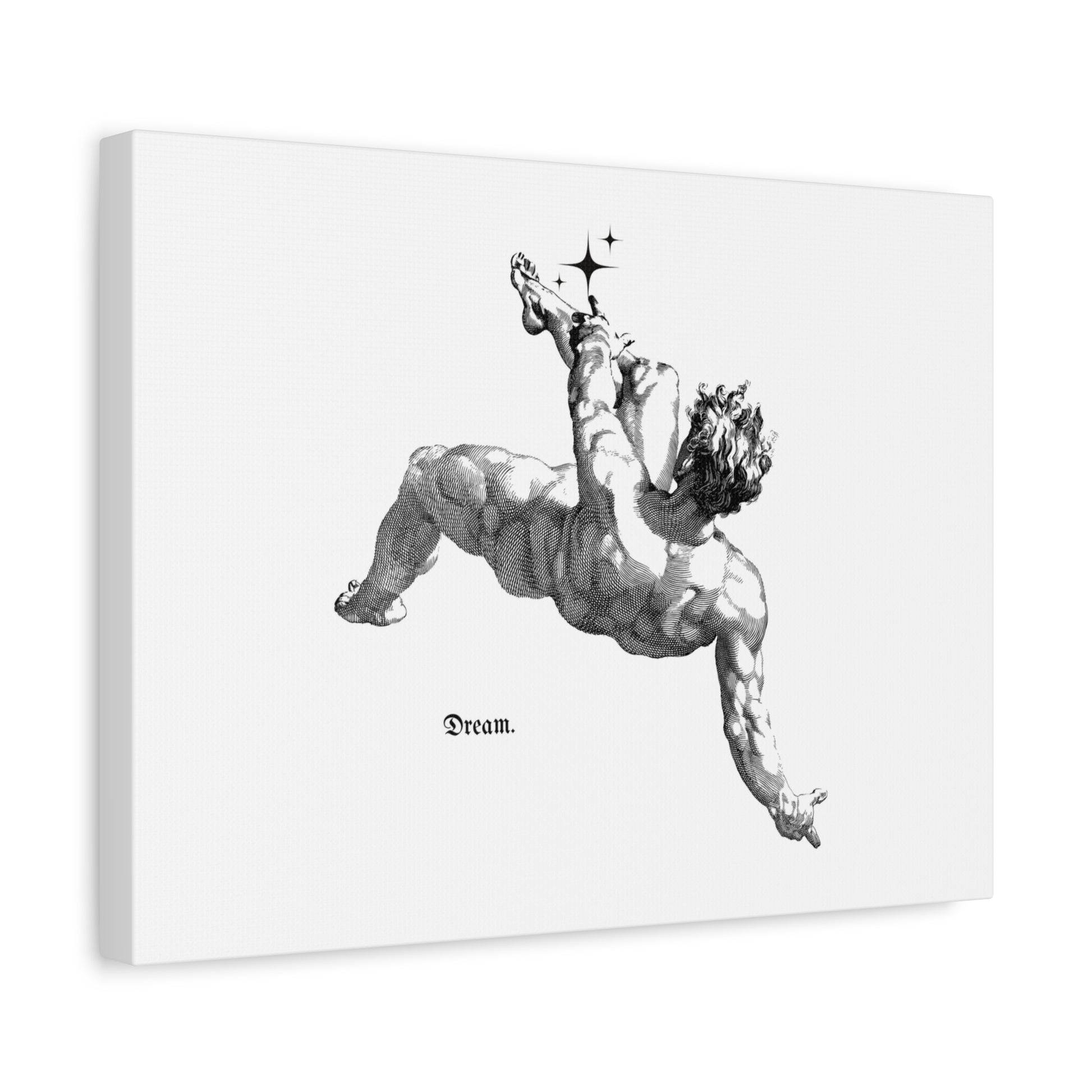 Dream Into The Stars